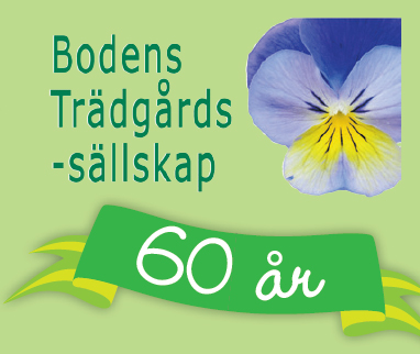 BTS_60ar