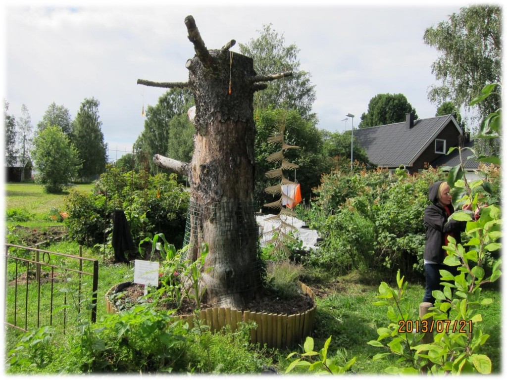 OppenTradgard_2013_Monica_Bild03