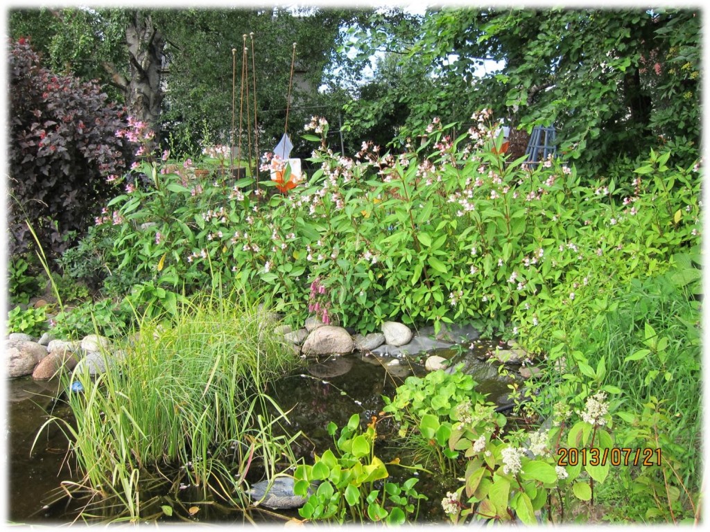 OppenTradgard_2013_Monica_Bild12