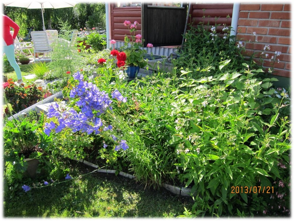 OppenTradgard_2013_Pohjanen_Bild07