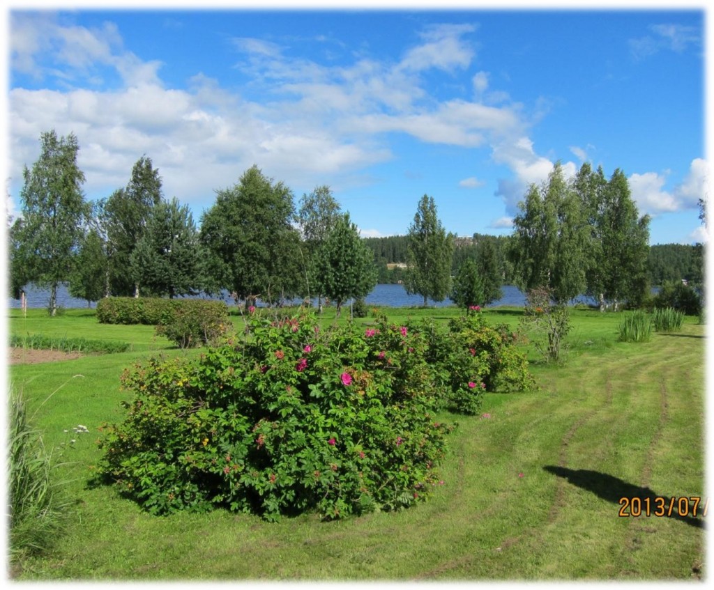 OppenTradgard_2013_Pohjanen_Bild14