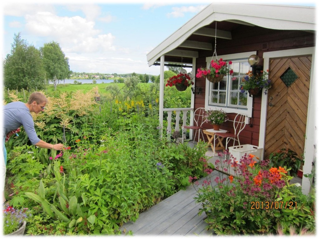 OppenTradgard_2013_Pohjanen_Bild17