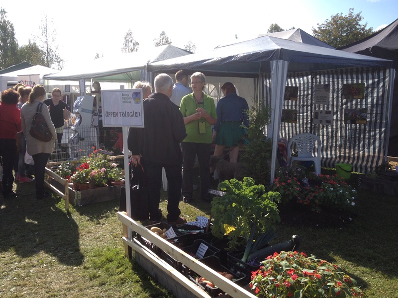Skordefest_2014 (15)