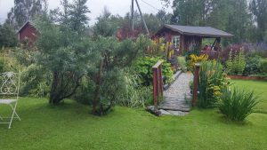 20160813_162941_HDR