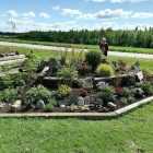 IMG_20220604_142416